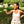 Load image into Gallery viewer, Elderflower Syrup 16 oz