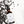 Load image into Gallery viewer, Elderberry Drops - Sugar-Free 2 oz
