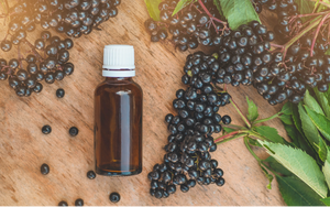 The benefits of elderberry for adults