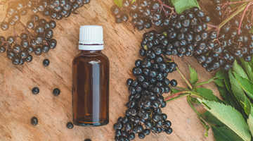 The benefits of elderberry for adults