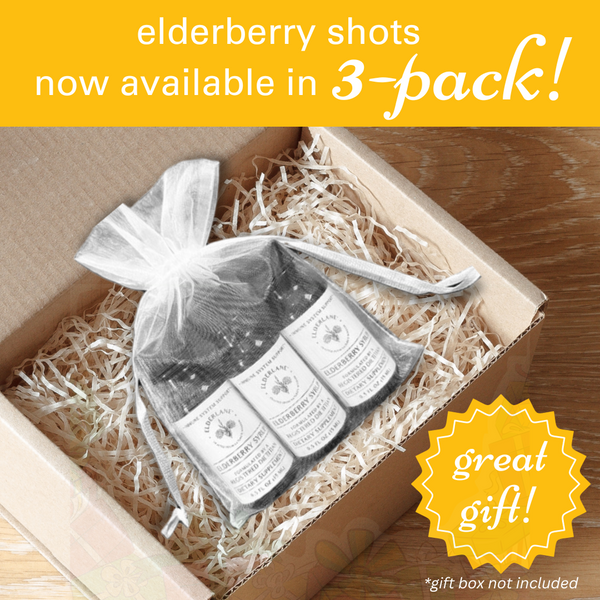 3-Pack Elderberry Syrup Shots 0.5 oz each